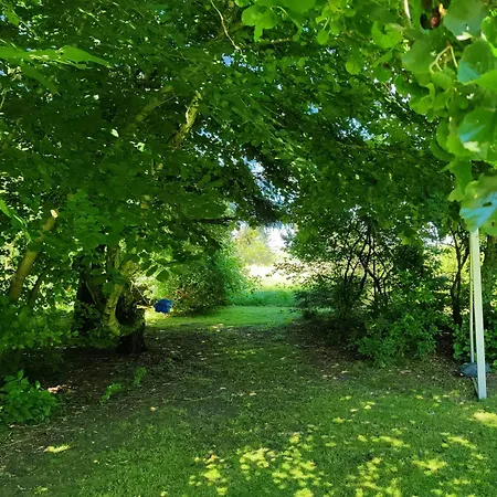 別荘 Near With Wilderness Bath